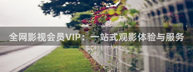 九七电影院网页：全网影视会员VIP：一站式观影体验与服务
