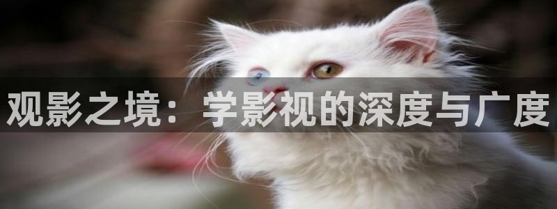 九七电影网支持手机版